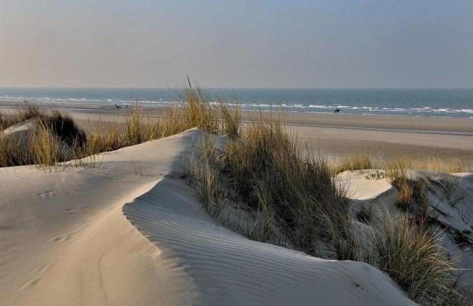 Berck L Imperatrice Bed & Breakfast エクステリア 写真